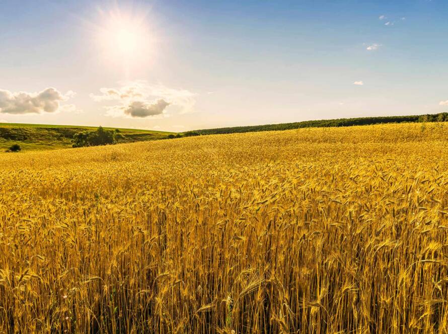 Why Farmers Should Digitalize Production