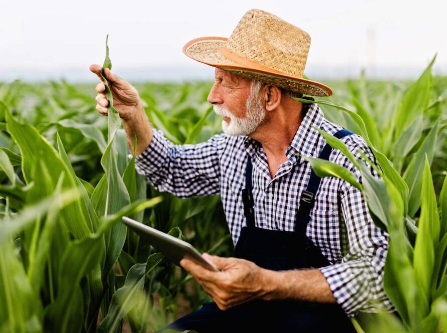 Top 3 Qualities of a Successful Farm Manager